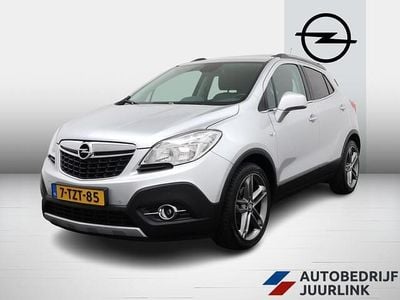 Grijs Gebruikt 2014 Opel Mokka Cosmo SUV | € 8.899 (Eerlijke prijs)