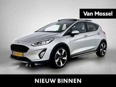 Grijs Occasion 2019 Ford Fiesta Active Hatchback | € 13.900 (Eerlijke prijs)