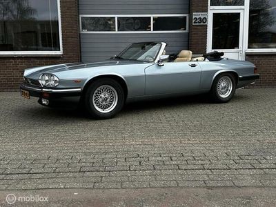 Jaguar XJS