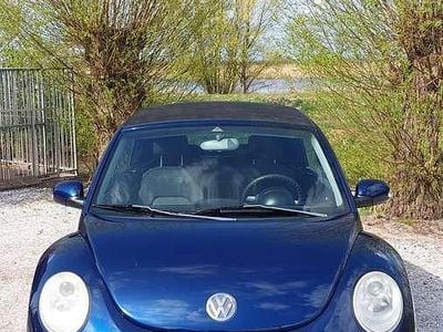 VW Beetle