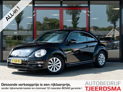 VW Beetle