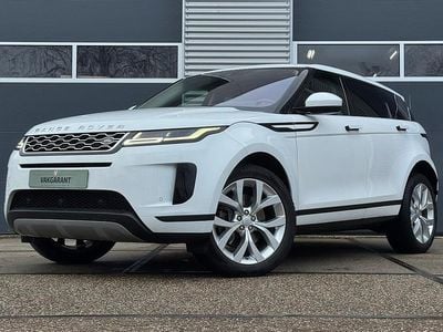 Occasion Land Rover Range Rover evoque R-Dynamic 150 PK (110 kW) 2019 Wit SUV