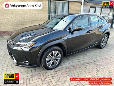 Occasion Lexus UX 300e Business Edition 150 kW (204 PK) 2020 Zwart SUV