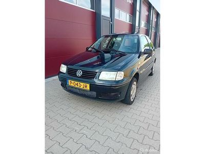 VW Polo