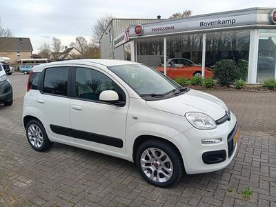 tweedehands Fiat Panda 0.9 TA Turbo 80pk Tech