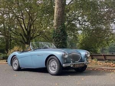 Blauw Gebruikt 1954 Austin Healey 100 Cabriolet | € 55.037