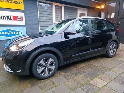 tweedehands Kia Niro 1.6 GDi Hybrid ExecutiveLine navi camera cruise