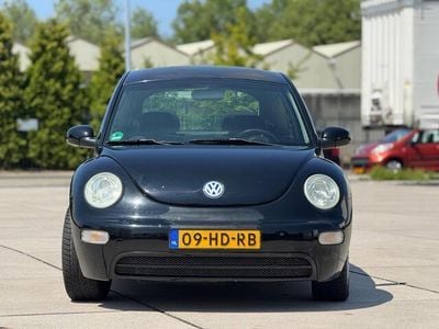 VW Beetle