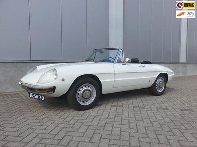 Occasion Alfa Romeo Spider 118 PK (86 kW) 1969 Wit Cabriolet