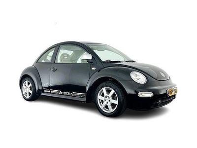 VW Beetle