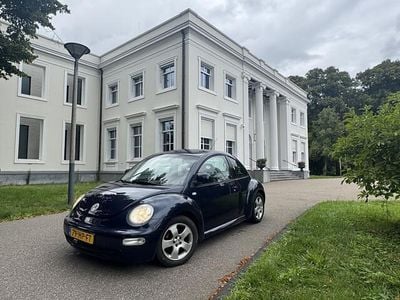 VW Beetle