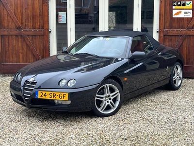 Alfa Romeo Spider