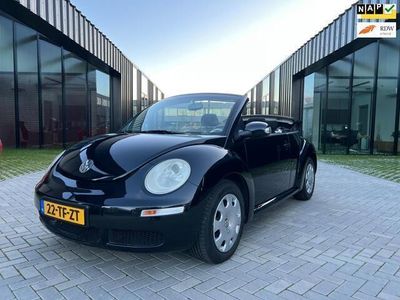 tweedehands VW Beetle (NEW) Cabriolet 1.6 Highline Airco NAP NL Auto