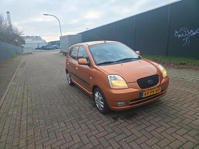 Occasion 2004 Kia Picanto Hatchback | € 1.449 (Eerlijke prijs)