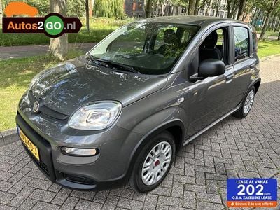 Grijs Gebruikt 2023 Fiat Panda Hatchback | € 12.495 (Eerlijke prijs)