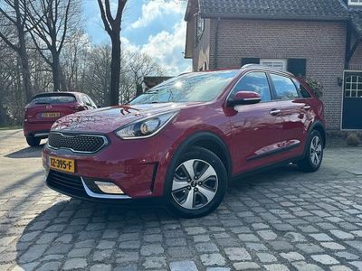 tweedehands Kia Niro 1.6 GDi Hybrid DynamicLine autom ecc1/2leernavig