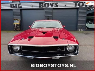 Rood Gebruikt 1970 Ford Shelby Fastback Coupé | € 109.900