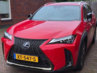 Lexus UX 250h