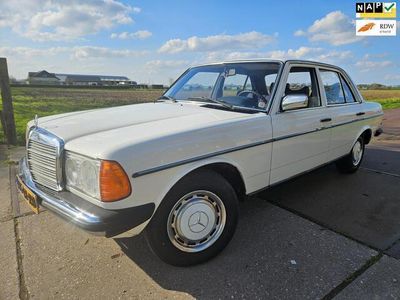 tweedehands Mercedes 300 200-280 (W123) D 5 cyl./ / BELASTING VRIJ/ 2 JAAR APK