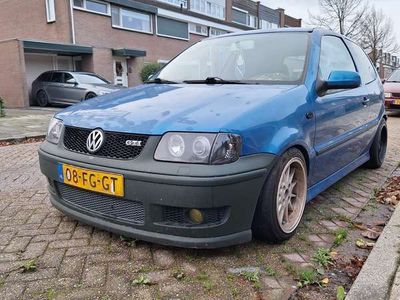 VW Polo