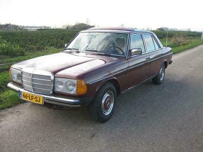 tweedehands Mercedes 230 (W123)