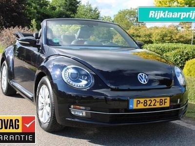 VW Beetle