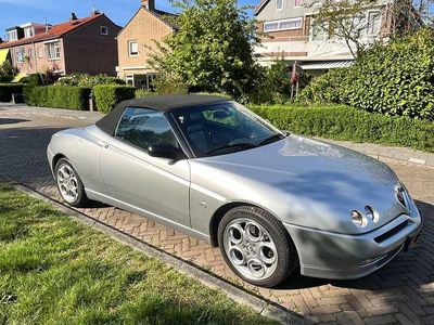 Alfa Romeo Spider