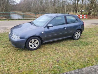 tweedehands Audi A3 1.6 Ambition