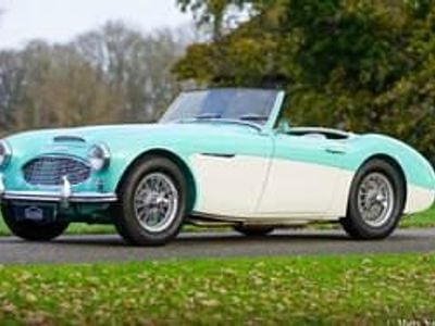 Groenflorida green Gebruikt 1960 Austin Healey 3000 MK I Cabriolet | € 59.500