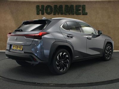 Lexus UX 250h