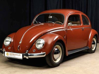 Bruin Gebruikt 1951 VW Beetle Sedan | € 39.900