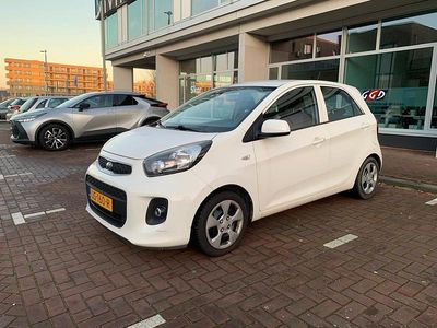 Wit Occasion 2016 Kia Picanto Hatchback | € 6.945 (Goede deal)