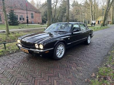 Occasion Jaguar XJ8 Executive 237 PK (174 kW) 1997 Sedan