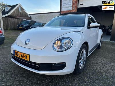 VW Beetle