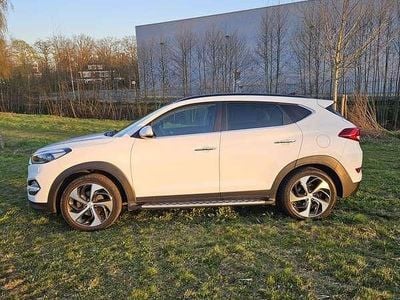 Occasion Hyundai Tucson Premium 177 PK (130 kW) 2016 Wit SUV