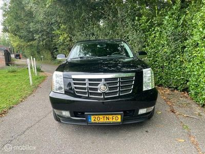 tweedehands Cadillac Escalade 6.2 V8 Platinum Edition Young timer