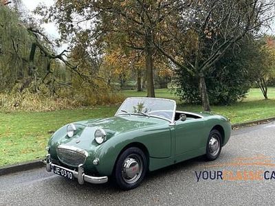 Occasion Austin Austin-Healey Sprite 64 PK (47 kW) 1959 Groen