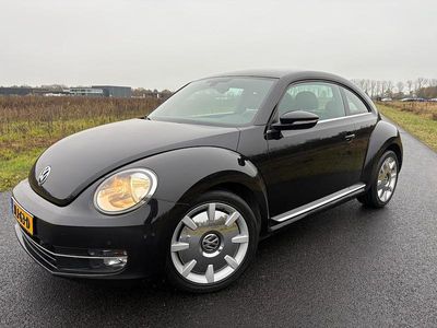 VW Beetle
