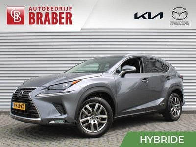Occasion Lexus NX300h Sport Line 2020 Grijs SUV