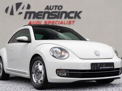 VW Beetle