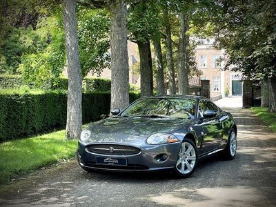 Jaguar XK