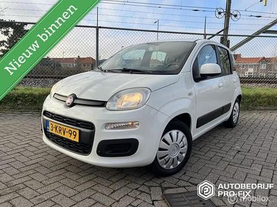 Wit Gebruikt 2013 Fiat Panda Hatchback | € 3.750 (Iets duurder)