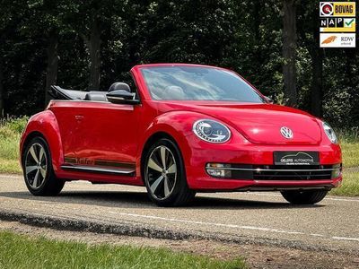 VW Beetle