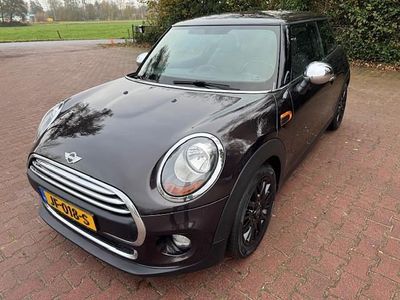 Bruin Gebruikt 2016 Mini ONE Business Hatchback | € 11.900 (Iets duurder)