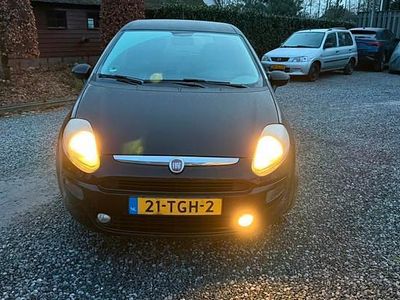 Occasion 2012 Fiat Punto | € 2.499 (Eerlijke prijs)