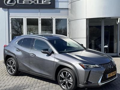 Occasion Lexus UX 250h Business Edition 184 PK (135 kW) 2020 Grijs, metallic lak SUV