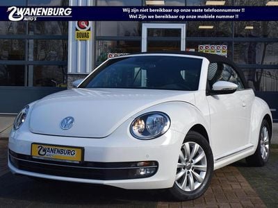 VW Beetle
