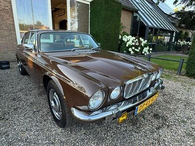 Occasion Jaguar XJ 172 PK (126 kW) 1979 Bruin Sedan