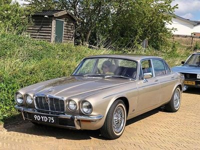 Goud Occasion 1976 Jaguar XJ12 Sedan | € 27.500