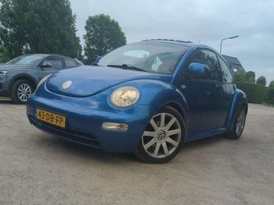 VW Beetle